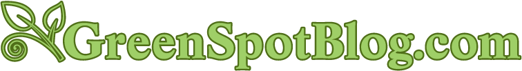 Green Marketing Ideas and Strategies